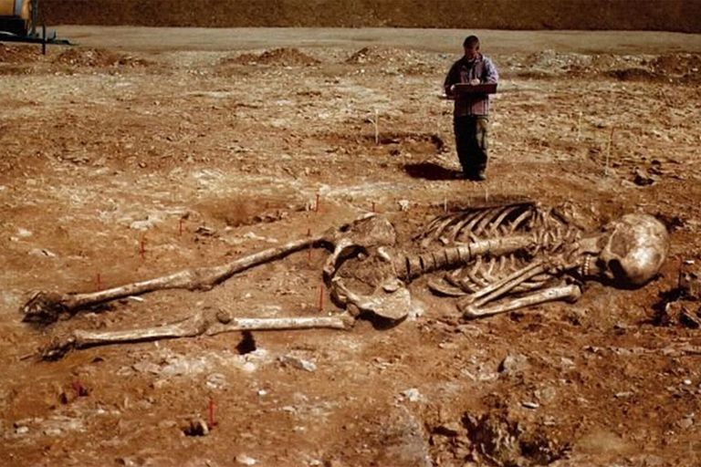 Giant_Skeleton-5909f5ac3df78c9283e35f4b.jpg